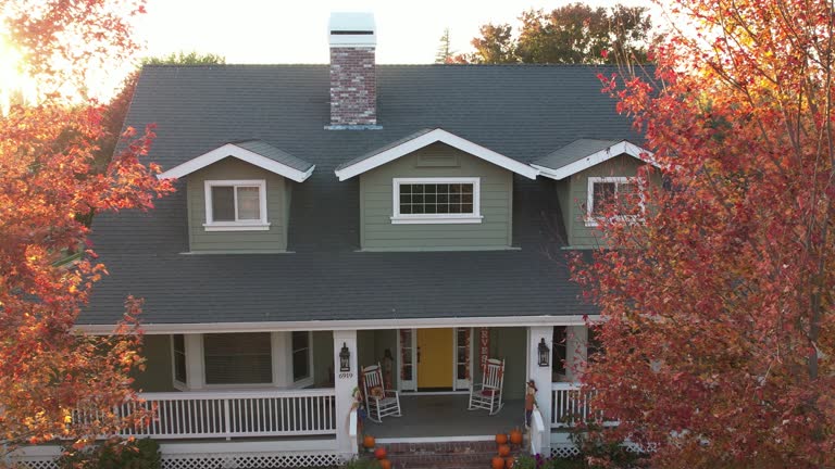Best Chimney Flashing Repair  in South Greensburg, PA